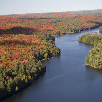 Destination Ontario Agent Program