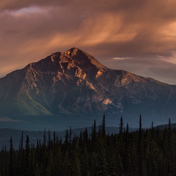 Alberta Specialist Program
