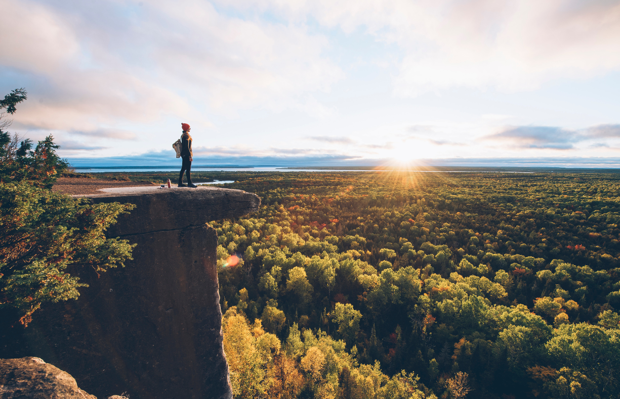 A person standing on a cliff overlooking a forest landscape