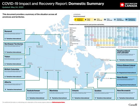 COVID-19 Impact and Recovery Report: Domestic Summary