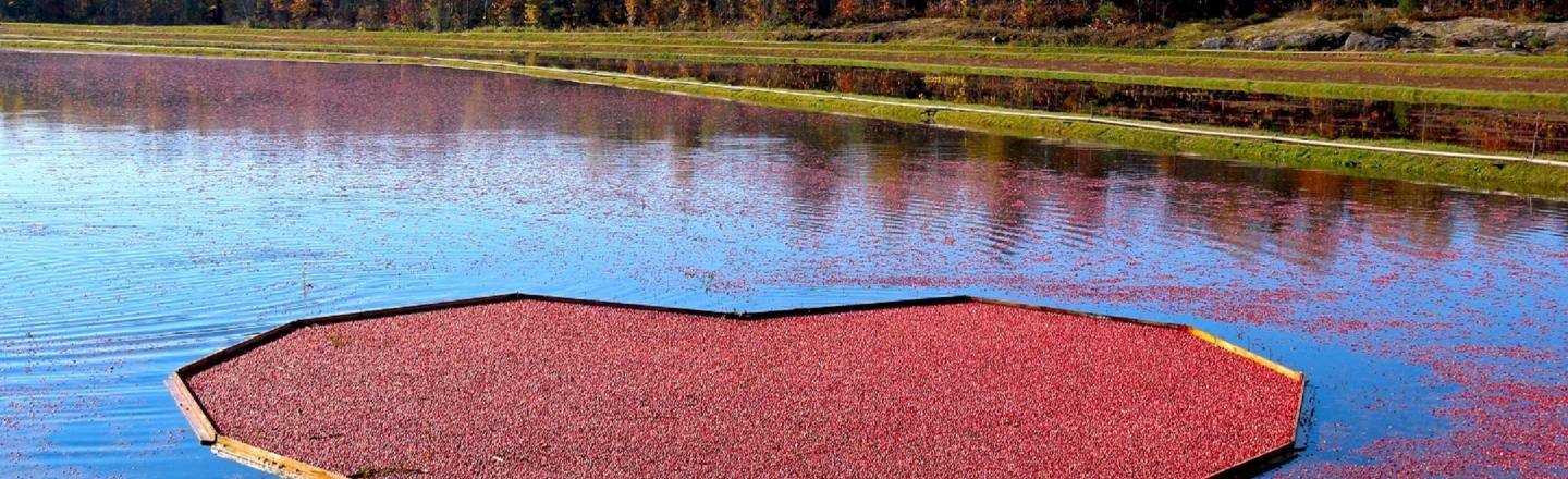 Red heart lake