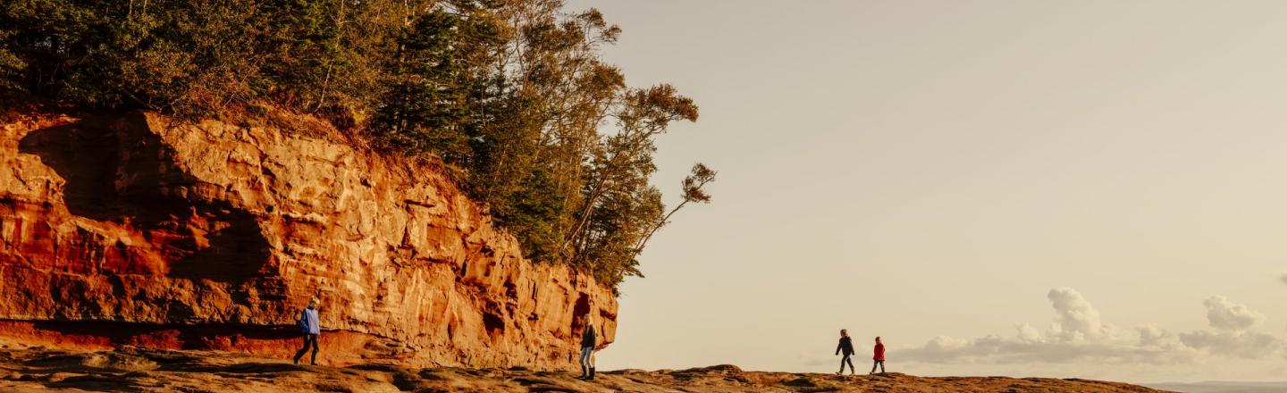 Photo of four people walking in Burntcoat Head Park, Nova Scotia