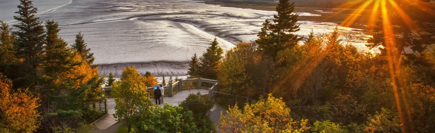 view on sun over hopewell rocks