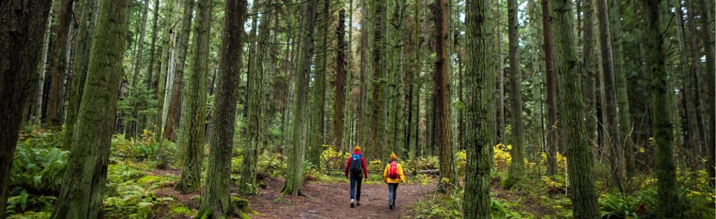 Nouveau partenariat entre Destination Canada et Sentier Transcanadien