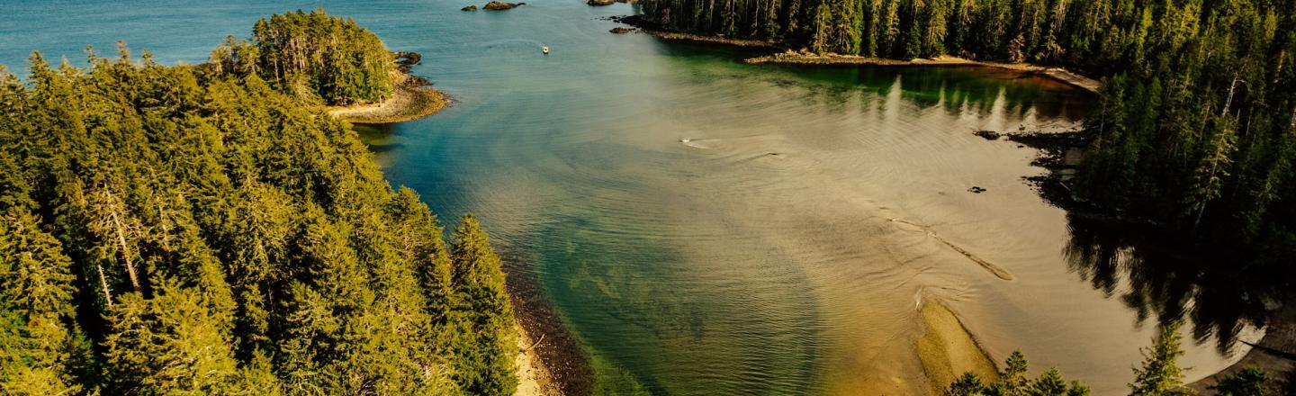 Aerial photo of a forest in Haida Gwaii