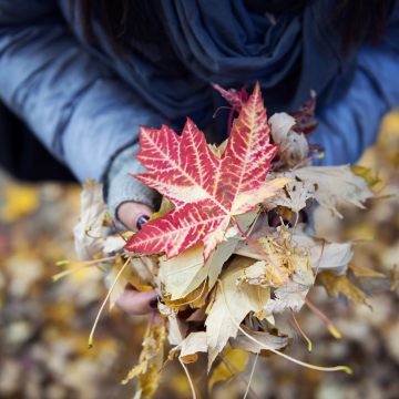 Déclaration de Destination Canada au sujet de la COVID-19