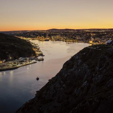 newfoundland