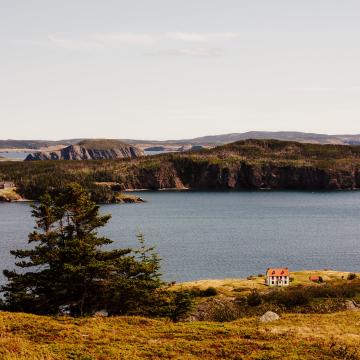 newfoundland