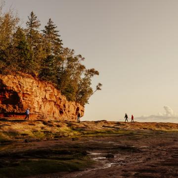 bay of fundy
