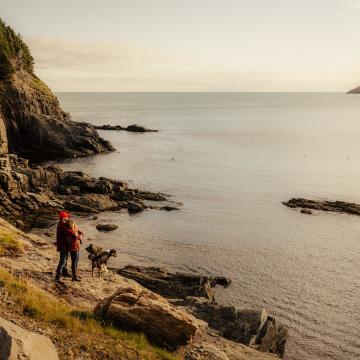 people with dog overlooking the ocean