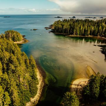 Aerial photo of a forest in Haida Gwaii